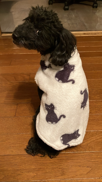 1120221128らん.jpg