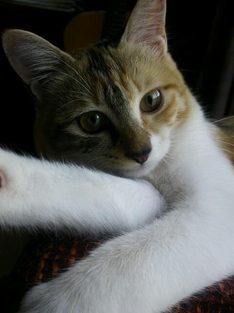 20120905_214149.jpg