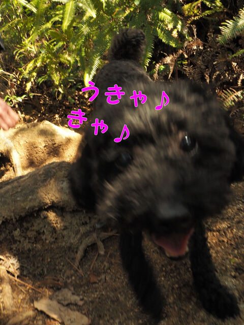 20180304絵下山12JPG.JPG