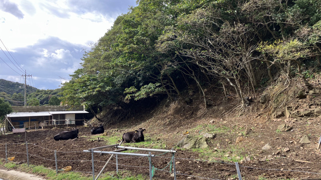 20221024島根28m-1.jpg