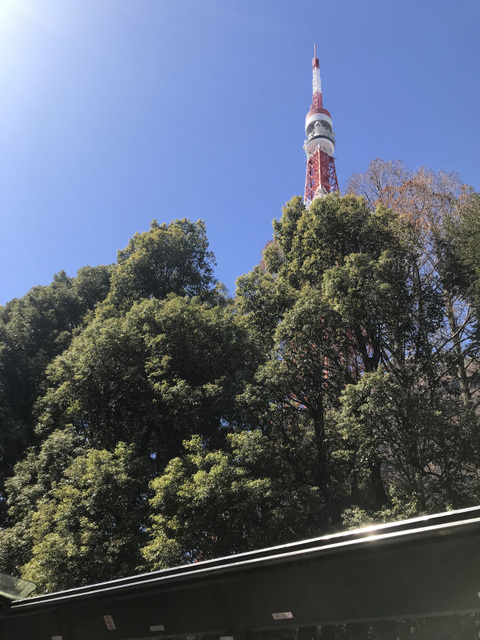 20240310二階建てバス5-1.jpg