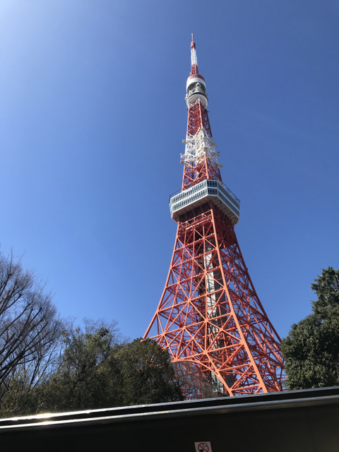20240310二階建てバス6-1.jpg